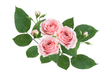 Similar image 21456386