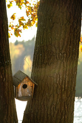 Similar image 21465682