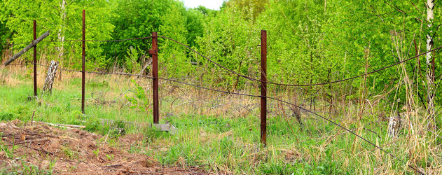 Similar image 21454163