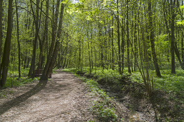 Similar image 21454166