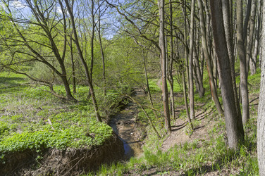 Similar image 21454168