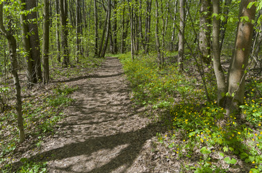 Similar image 21454170