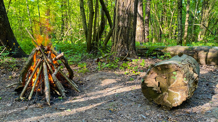 Similar image 21454173