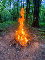 Similar image 21454174