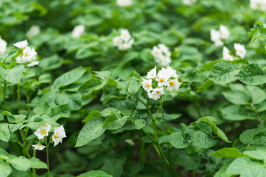 Similar image 21455976