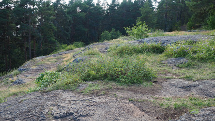 Similar image 21468909