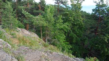 Similar image 21468910