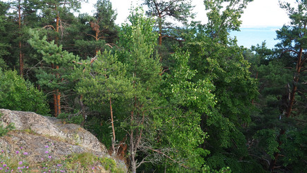 Similar image 21468911