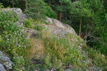 Similar image 21468912