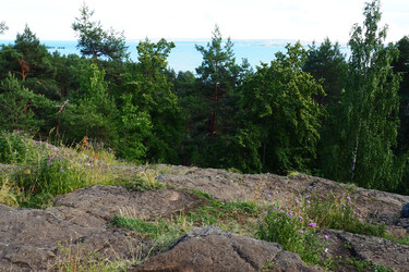 Similar image 21468913