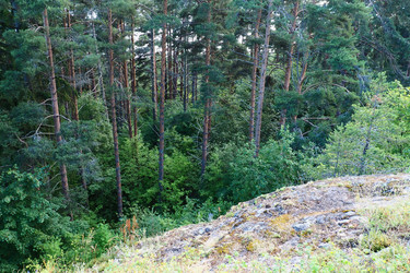 Similar image 21468914