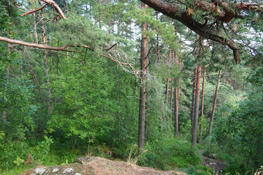 Similar image 21468916