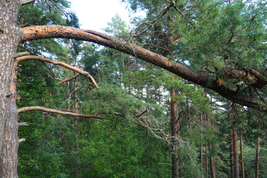 Similar image 21468917