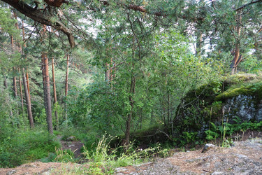 Similar image 21468918