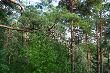 Similar image 21468920