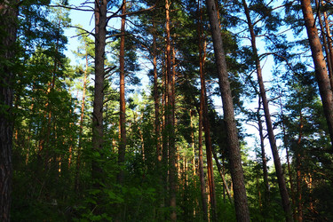 Similar image 21468924