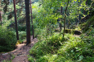 Similar image 21468926