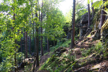 Similar image 21468928