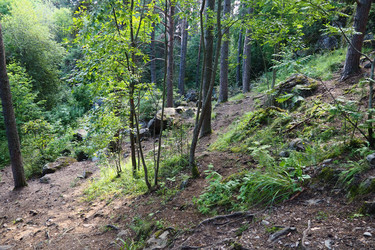 Similar image 21468930