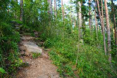 Similar image 21468931