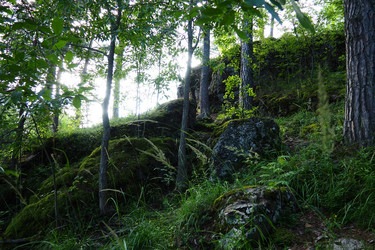 Similar image 21468934