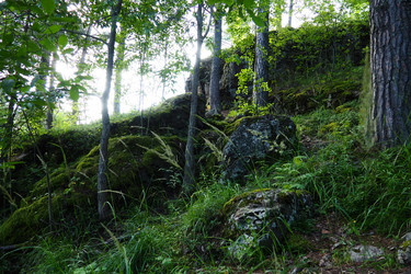 Similar image 21468935