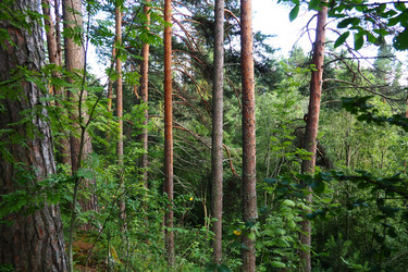 Similar image 21468937