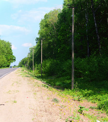 Similar image 21454661