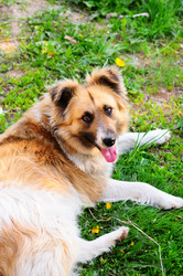 Similar image 21454662