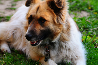 Similar image 21454663