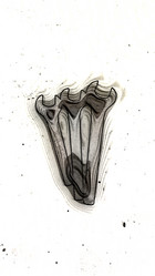 Similar image 21456394