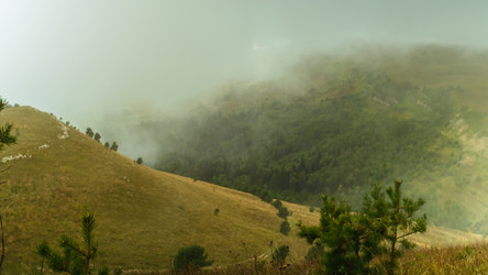 Similar image 21462362