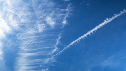 Similar image 21467226