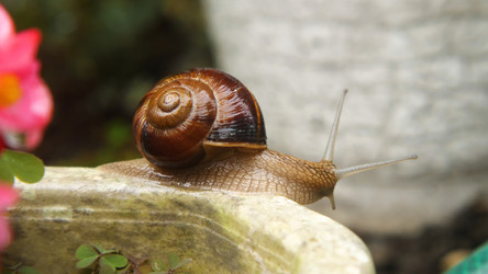 Similar image 21459675