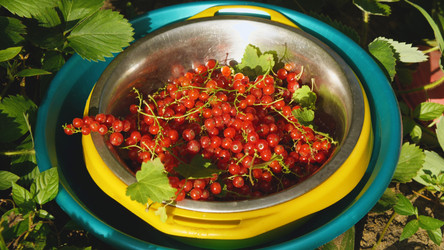 Similar image 21465167