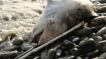 Similar image 21462372