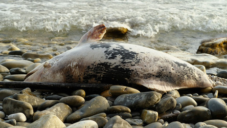 Similar image 21465169