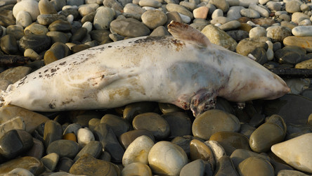 Similar image 21467233