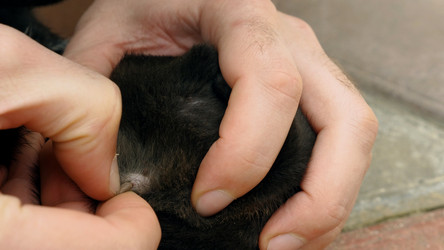 Similar image 21459677