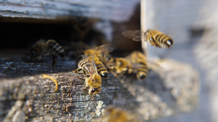 Similar image 21465171