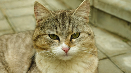 Similar image 21456239