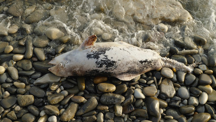 Similar image 21468452