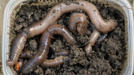 Similar image 21459678