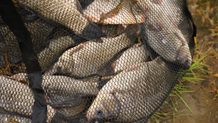 Similar image 21456241