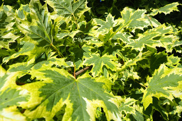 Similar image 21468941