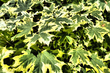 Similar image 21468942