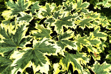 Similar image 21468943