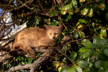 Similar image 21456050