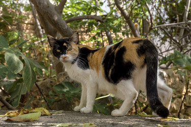 Similar image 21477523