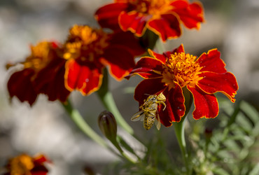 Similar image 21456051